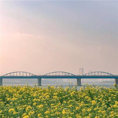 （2024年6月24日）今日辟谣：广西一高速隧道口地面塌陷？